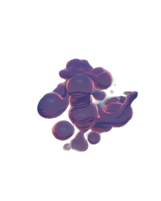 flower, bottle, crown, food transparent PNG cut-out