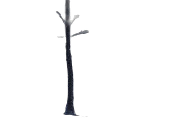 tree, staff, crown, furniture transparent PNG cut-out