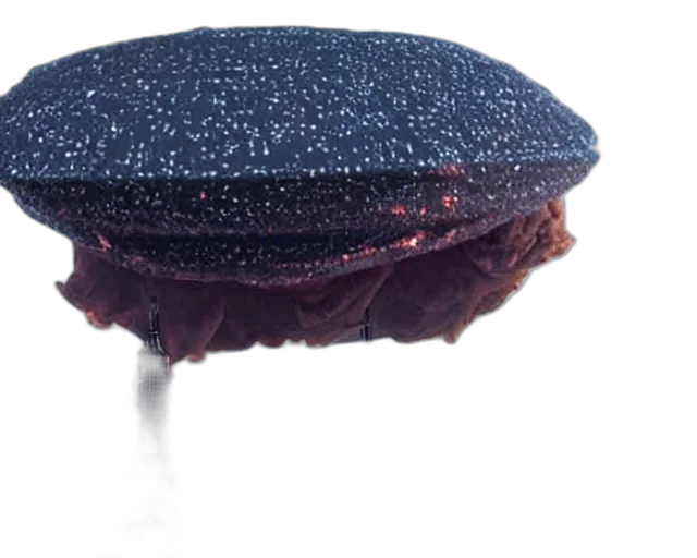 hat, umbrella, crown, food transparent PNG cut-out