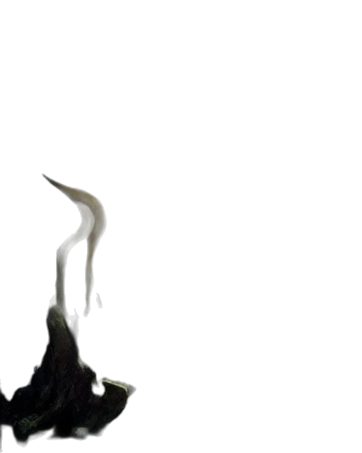 sword, staff, weapon, dragon transparent PNG cut-out