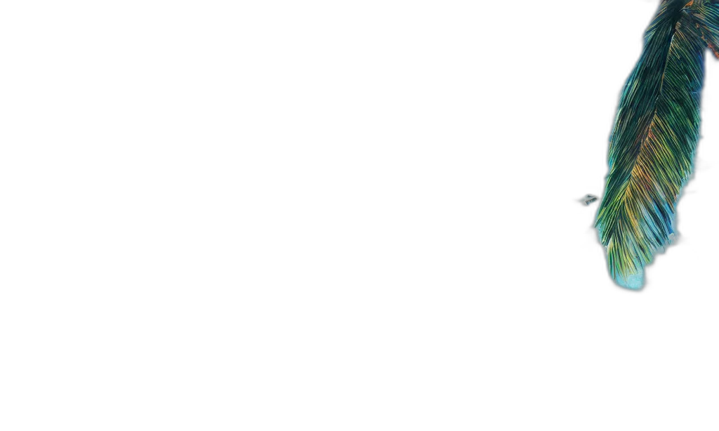 staff, face, monochrome, pastel transparent PNG cut-out