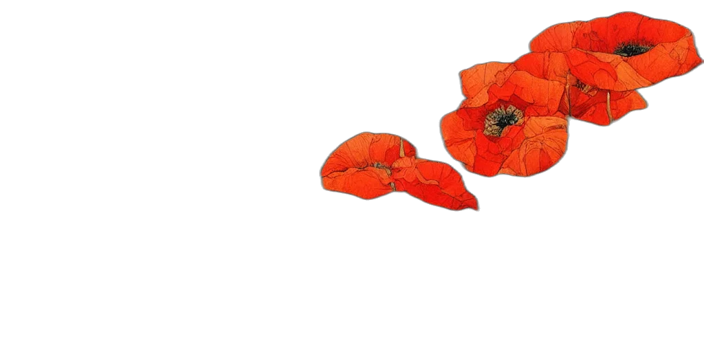 flower, crown, dress, hat transparent PNG cut-out