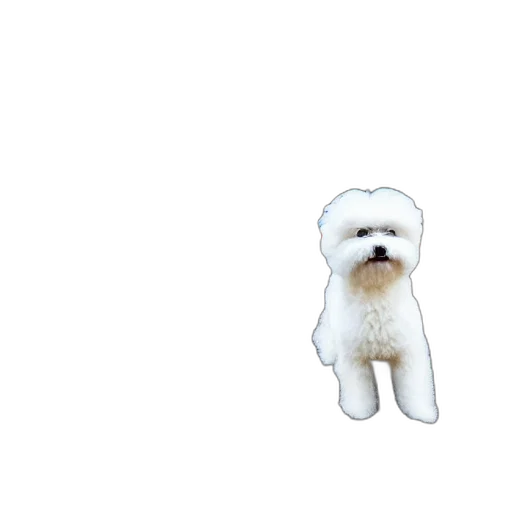 animal, creature, staff, face transparent PNG cut-out