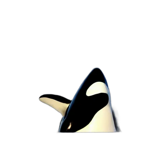 animal, hat, creature, mask transparent PNG cut-out