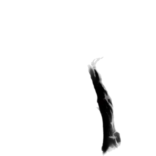 hair, sword, staff, creature transparent PNG cut-out