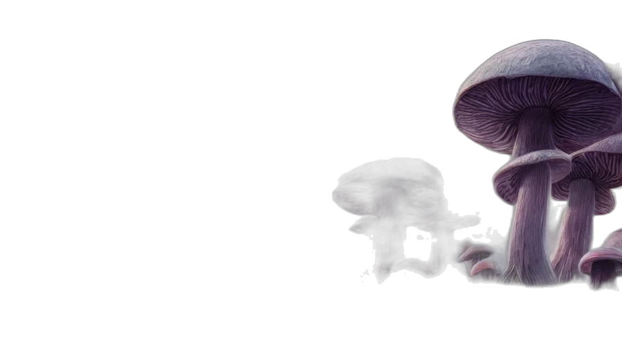 hat, mask, creature, robot transparent PNG cut-out