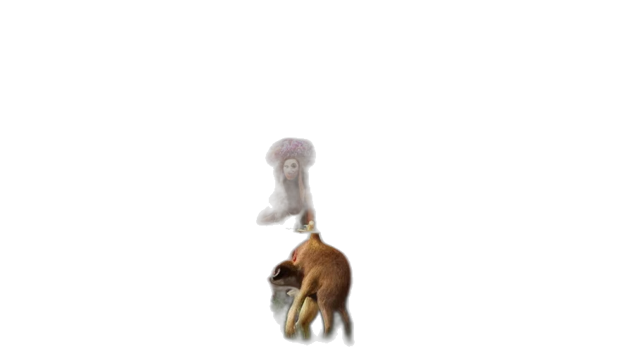 animal, creature, hair, hat transparent PNG cut-out