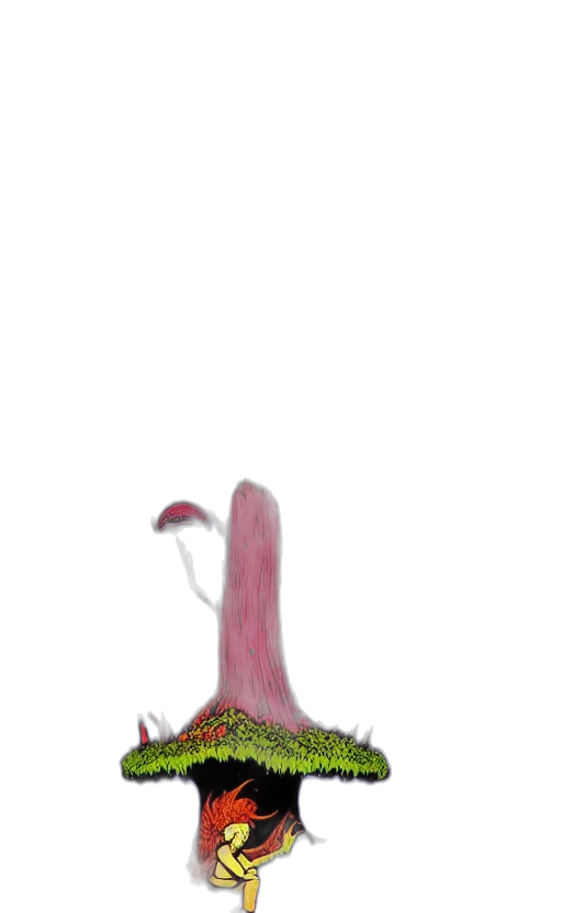 dragon, creature, animal, hair transparent PNG cut-out