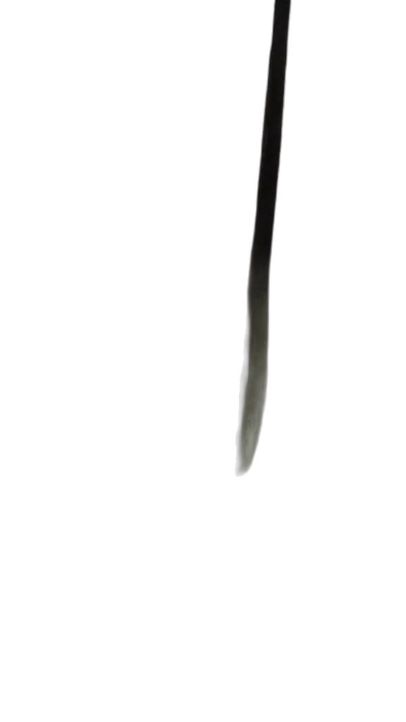 sword, staff, weapon, hair transparent PNG cut-out