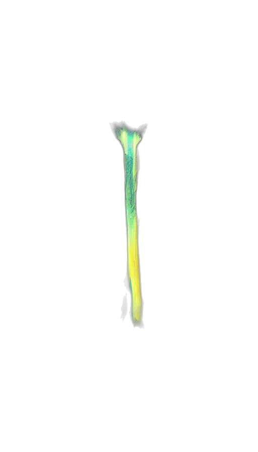 sword, staff, weapon, flower transparent PNG cut-out