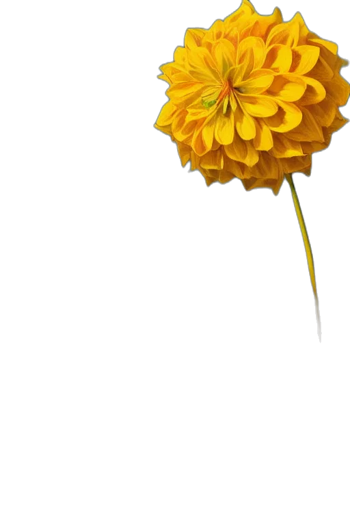 flower, crown, umbrella, staff transparent PNG cut-out