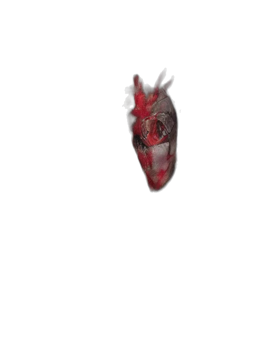 mask, face, creature, crown transparent PNG cut-out