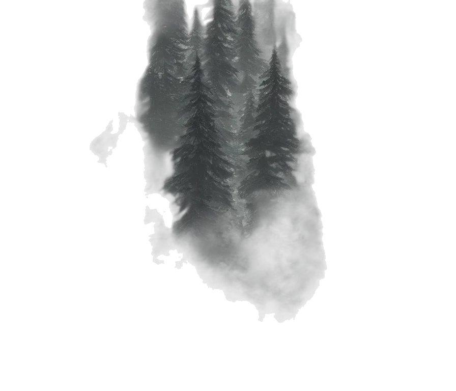 tree, dragon, creature, face transparent PNG cut-out