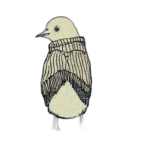 animal, jacket, dress, jewelry transparent PNG cut-out