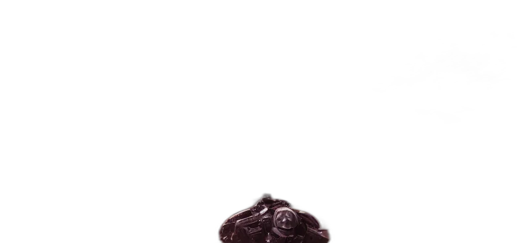 animal, creature, crown, food transparent PNG cut-out