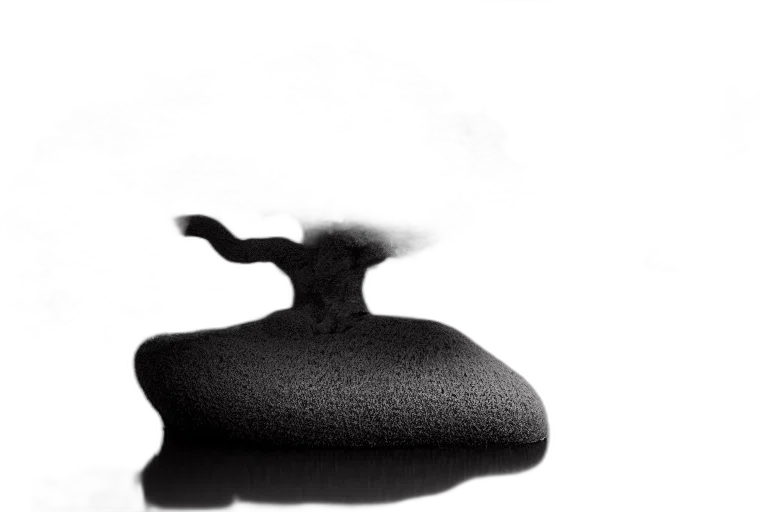 hat, hair, bottle, crown transparent PNG cut-out