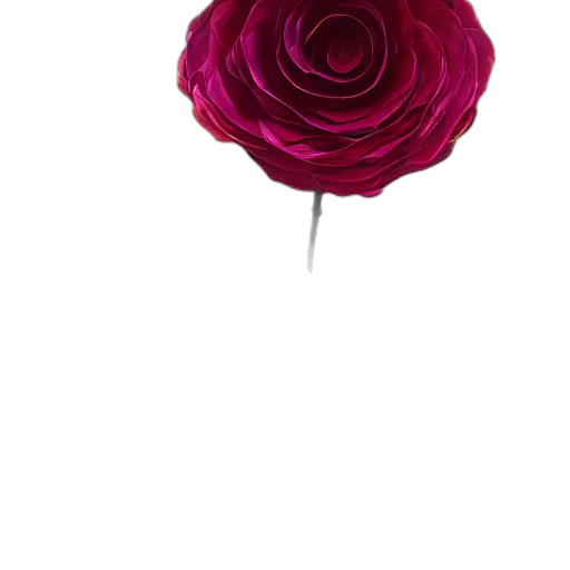 flower, crown, jewelry, umbrella transparent PNG cut-out
