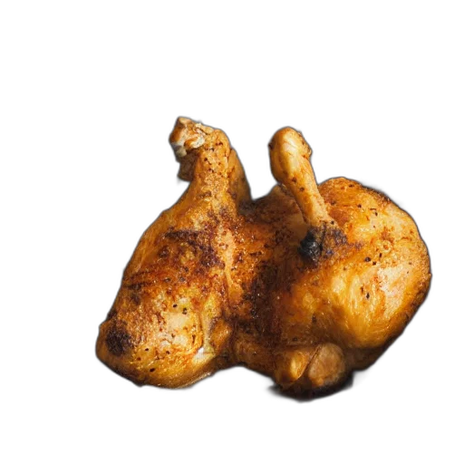 food, animal, weapon, jacket transparent PNG cut-out
