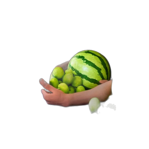 food, animal, creature, hat transparent PNG cut-out