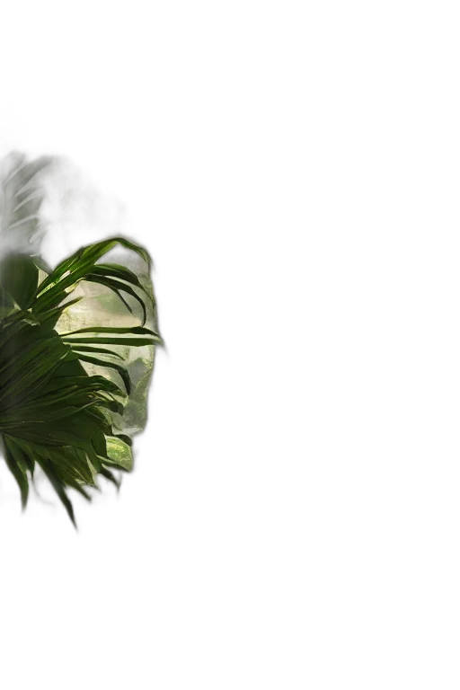 hair, tree, hat, mask transparent PNG cut-out