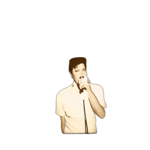 pixel art, cartoon, anime, polaroid transparent PNG cut-out