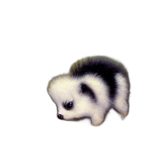 animal, creature, staff, hair transparent PNG cut-out