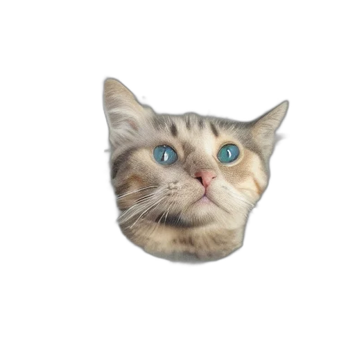 face, animal, creature, jewelry transparent PNG cut-out
