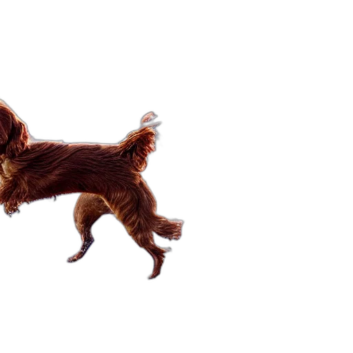 animal, creature, hair, staff transparent PNG cut-out