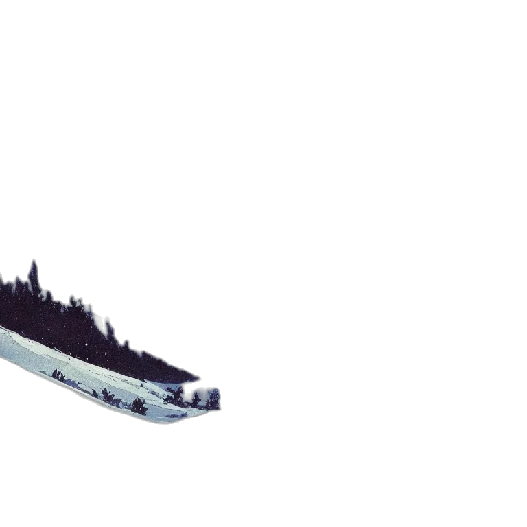 shoes, car, weapon, animal transparent PNG cut-out