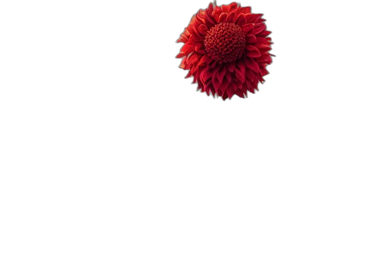 flower, crown, hair, staff transparent PNG cut-out