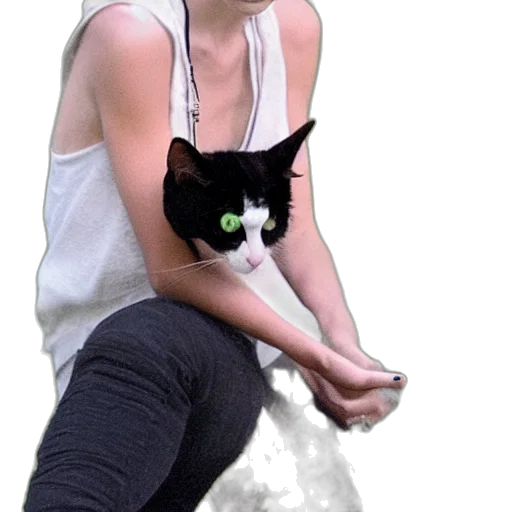 creature, animal, photorealistic, taylor transparent PNG cut-out