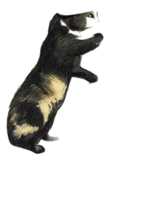 animal, creature, staff, hair transparent PNG cut-out