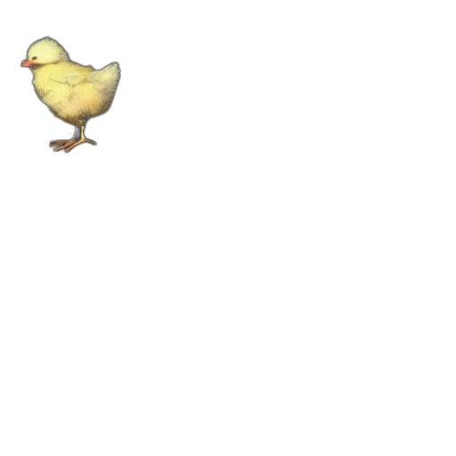 animal, food, creature, weapon transparent PNG cut-out