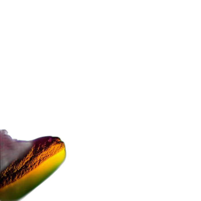 food, shoes, dragon, hat transparent PNG cut-out
