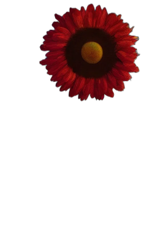 flower, crown, staff, jewelry transparent PNG cut-out