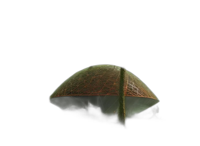 hat, umbrella, crown, tree transparent PNG cut-out