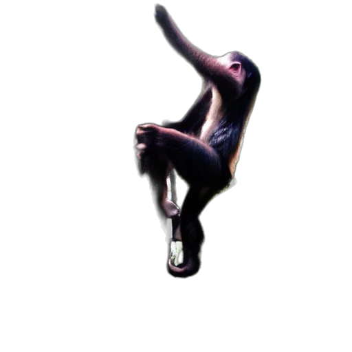 creature, animal, shoes, mask transparent PNG cut-out