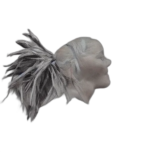 mask, hair, hat, crown transparent PNG cut-out