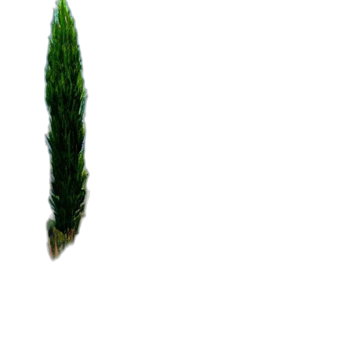 tree, hair, weapon, sword transparent PNG cut-out