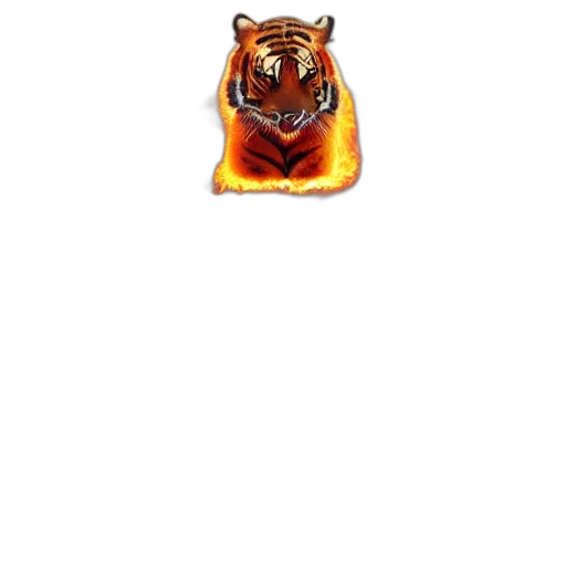animal, mask, creature, jewelry transparent PNG cut-out