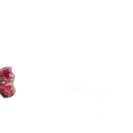 jewelry, flower, crown, shoes transparent PNG cut-out