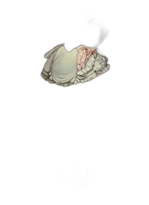 hat, creature, mask, food transparent PNG cut-out