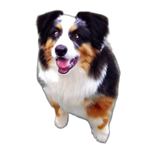 animal, creature, staff, face transparent PNG cut-out