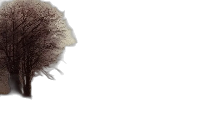 hair, creature, mask, animal transparent PNG cut-out