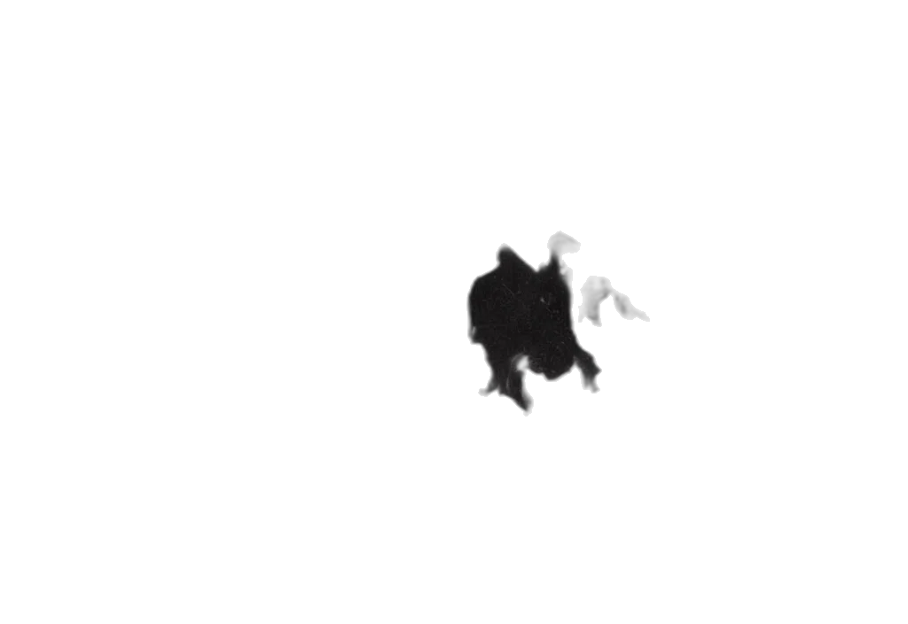 dragon, creature, hair, crown transparent PNG cut-out