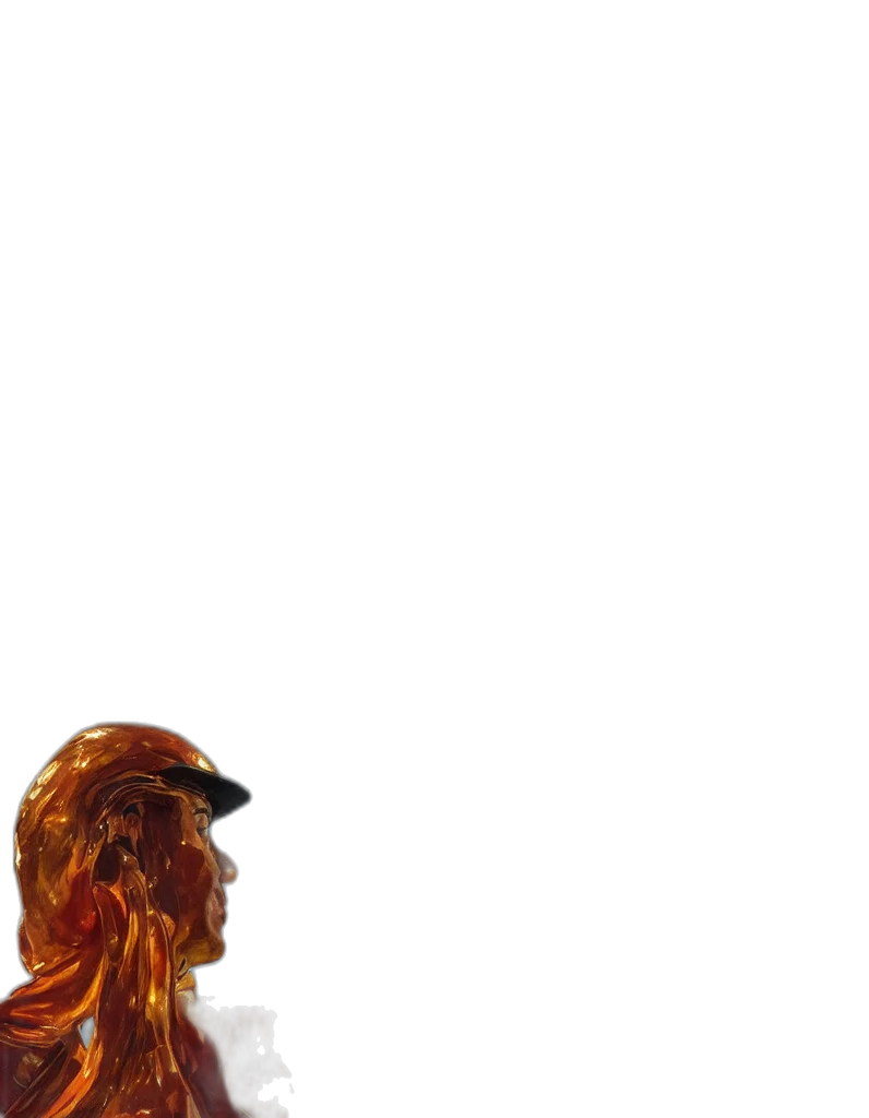 animal, hair, creature, hat transparent PNG cut-out
