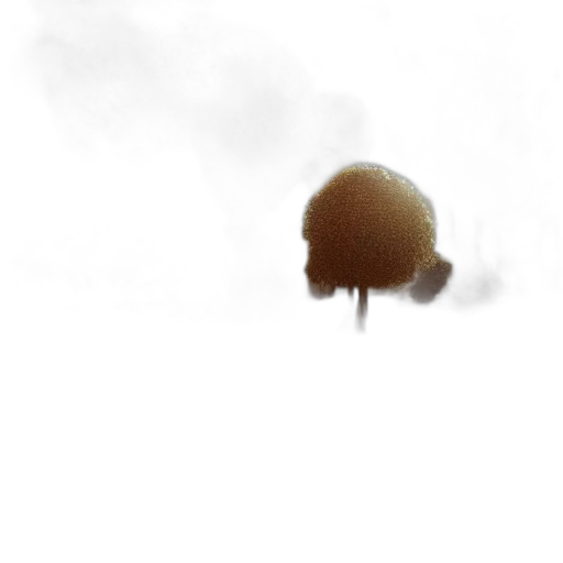 tree, hat, umbrella, hair transparent PNG cut-out