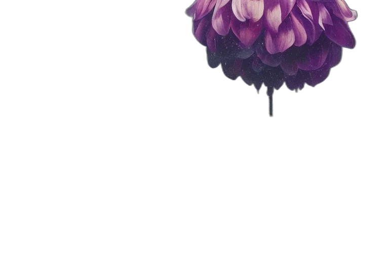 umbrella, flower, crown, hair transparent PNG cut-out