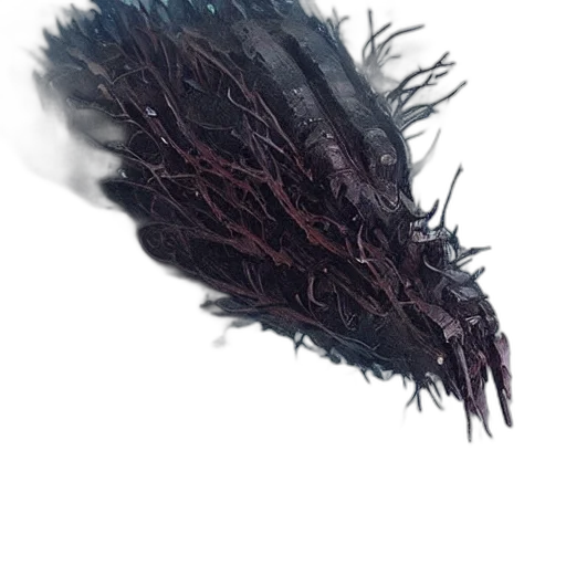 hair, dragon, crown, hat transparent PNG cut-out