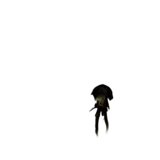 umbrella, staff, creature, hair transparent PNG cut-out
